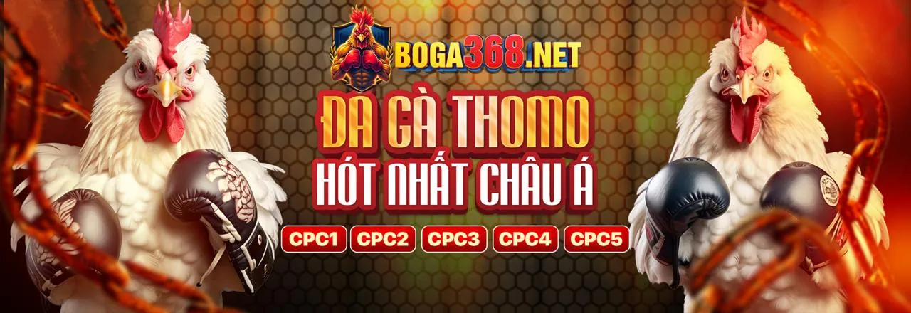 Đội ngũ go8pro thảo luận chiến lược